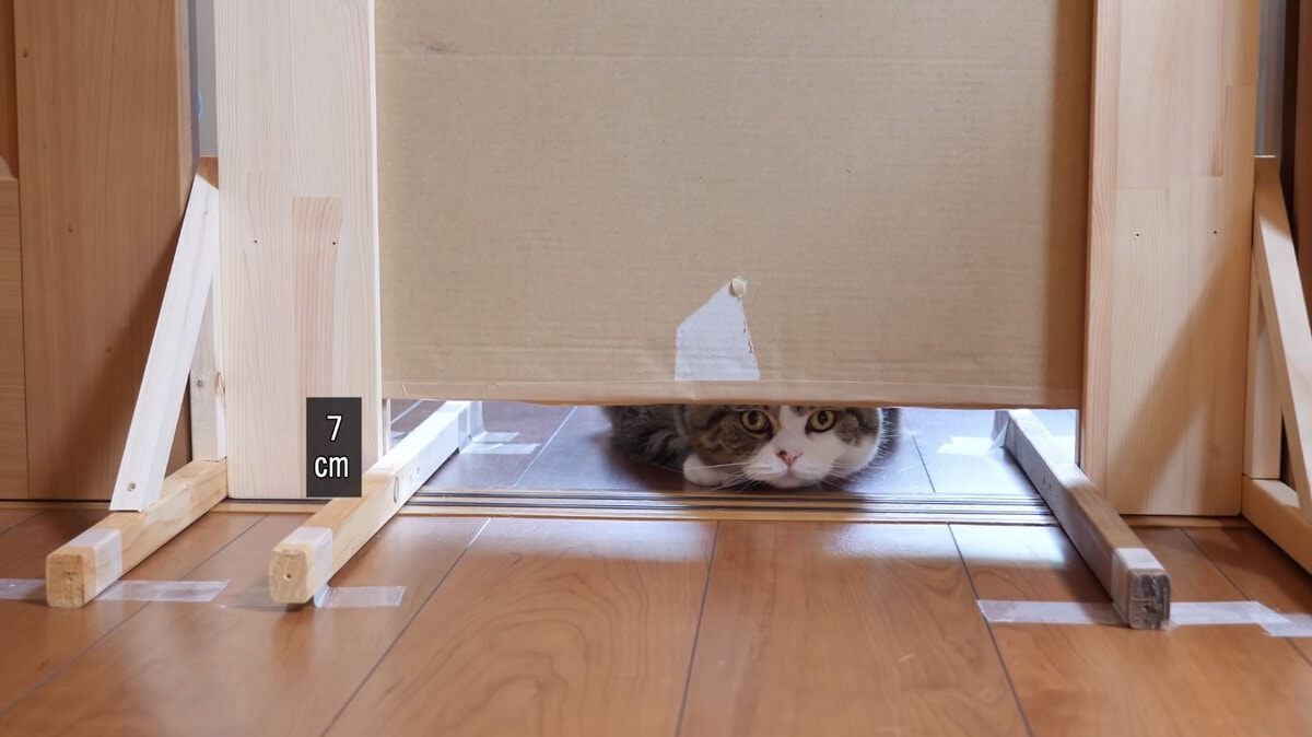 Японец проверил, в насколько узкую щель смогут пролезть его коты. Эксперимент, который мы заслужили! 169