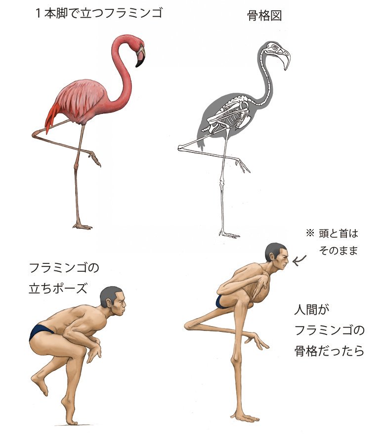 Японец представляет, как выглядели бы люди, будь они похожи на животных, и показывает это в рисунках 49