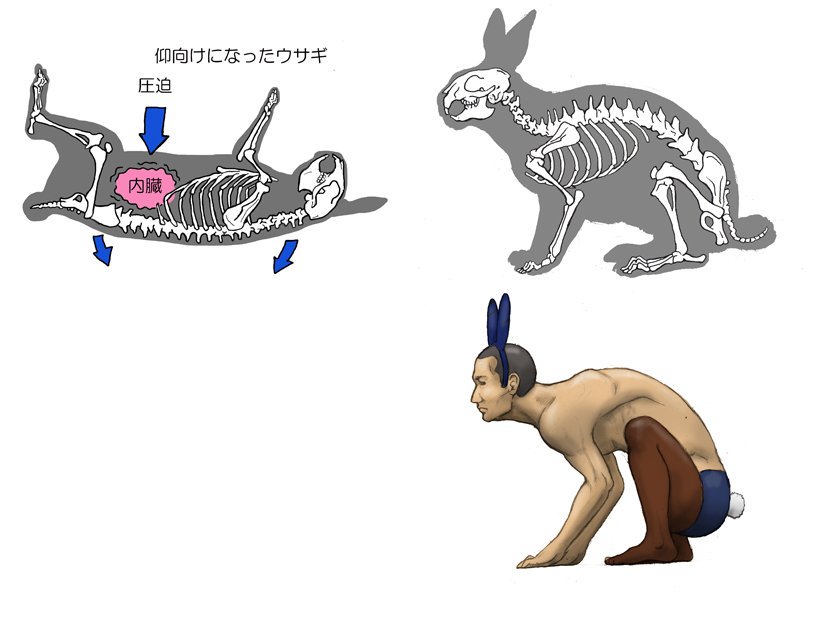 Японец представляет, как выглядели бы люди, будь они похожи на животных, и показывает это в рисунках 56