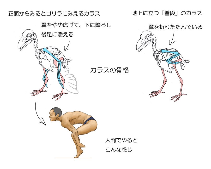 Японец представляет, как выглядели бы люди, будь они похожи на животных, и показывает это в рисунках 63