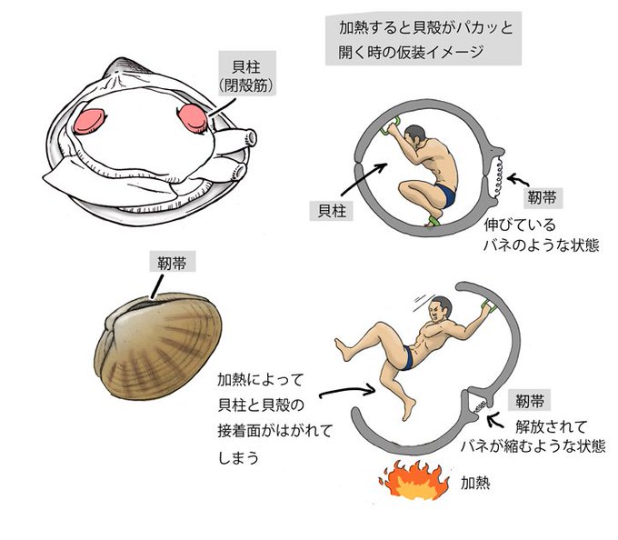 Японец представляет, как выглядели бы люди, будь они похожи на животных, и показывает это в рисунках 54