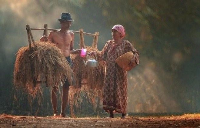 Счастливая жизнь в индонезийской деревне 30