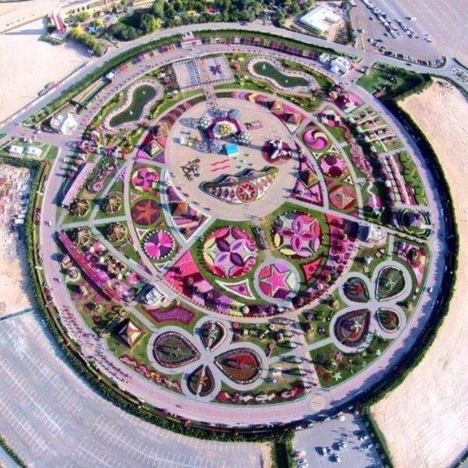 Чудо Сад в Дубае 38
