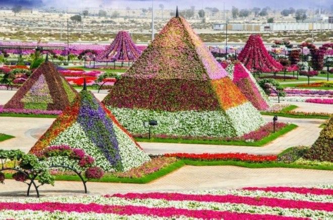 Чудо Сад в Дубае 39