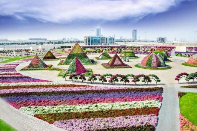 Чудо Сад в Дубае 41