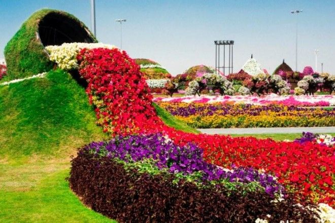 Чудо Сад в Дубае 45