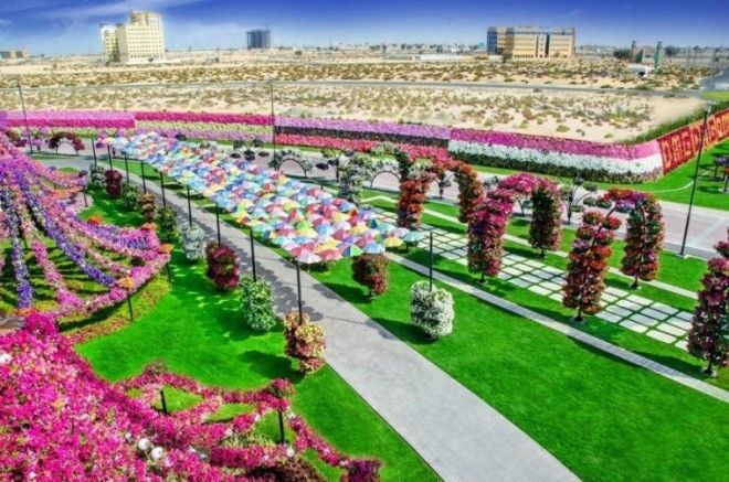 Чудо Сад в Дубае 40