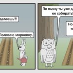 Сова — эффективный менеджер: художник из России рисует смешные и правдивые комиксы о суровых боссах