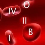 О чем говорит Ваша группа крови