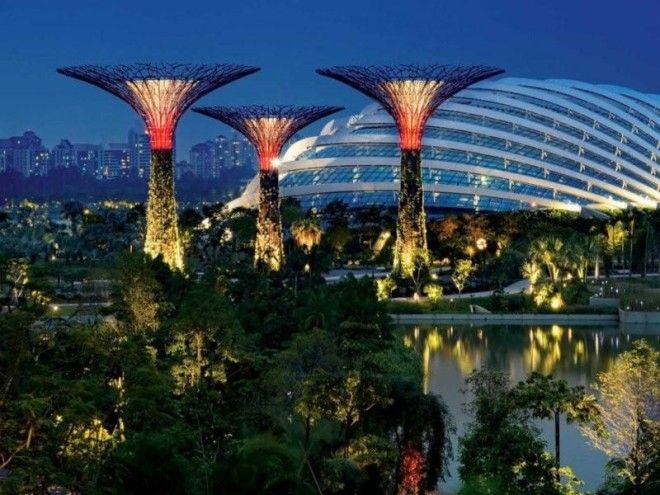 Сады будущего и супердеревья в Сингапуре 44