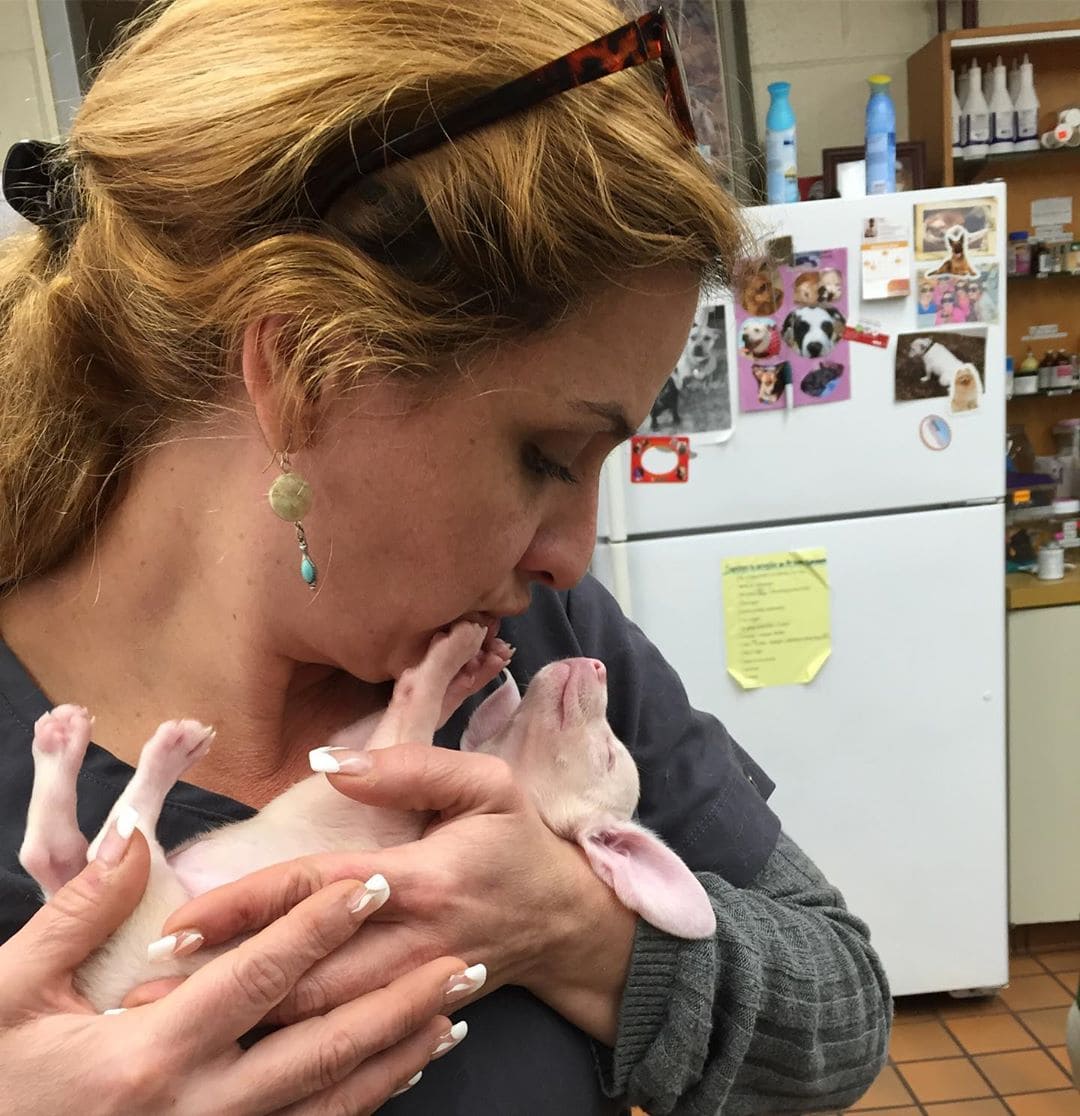 Розовый щенок по кличке Пятачок родился слепым и глухим. Но он вырос и стал помогать другим 38