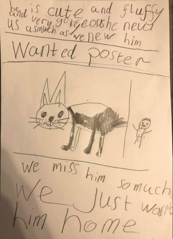 Мальчик хотел найти похищенного пса и рисовал плакаты как мог. Пес найден, а фоторобот стал популярен на весь интернет 41
