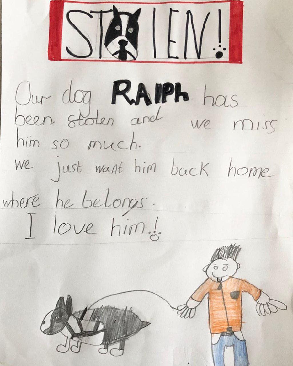 Мальчик хотел найти похищенного пса и рисовал плакаты как мог. Пес найден, а фоторобот стал популярен на весь интернет 43