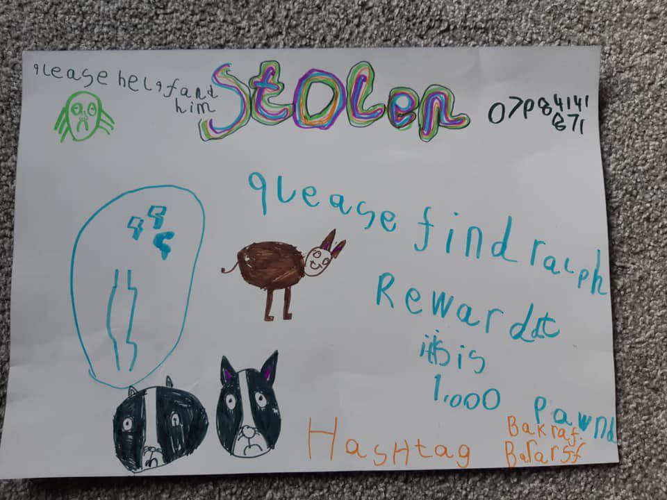 Мальчик хотел найти похищенного пса и рисовал плакаты как мог. Пес найден, а фоторобот стал популярен на весь интернет 45