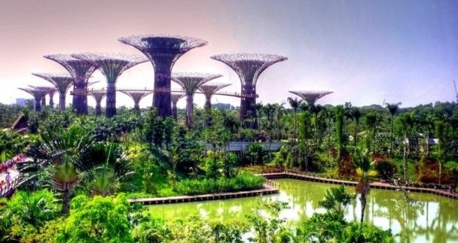 Сады будущего и супердеревья в Сингапуре 45