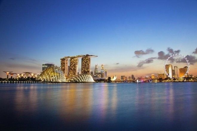Сады будущего и супердеревья в Сингапуре 47