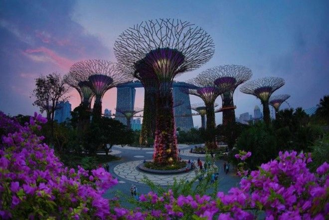 Сады будущего и супердеревья в Сингапуре 49
