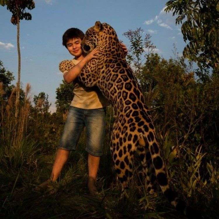 Бразильский мальчик Тьяго Силвейра живет с ягуарами! 28