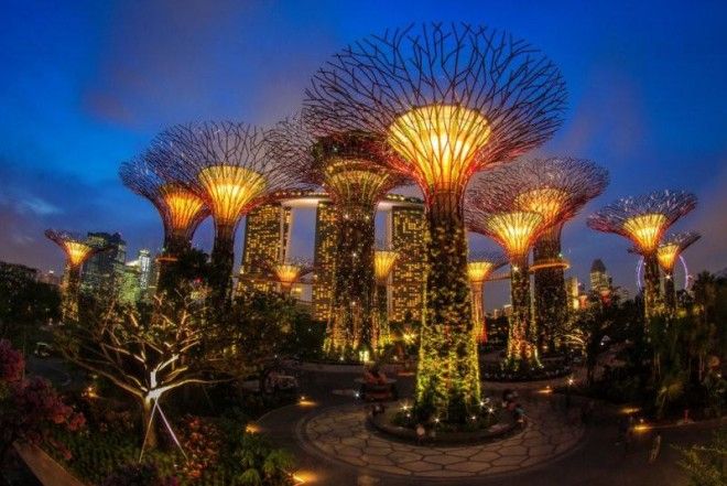 Сады будущего и супердеревья в Сингапуре 46