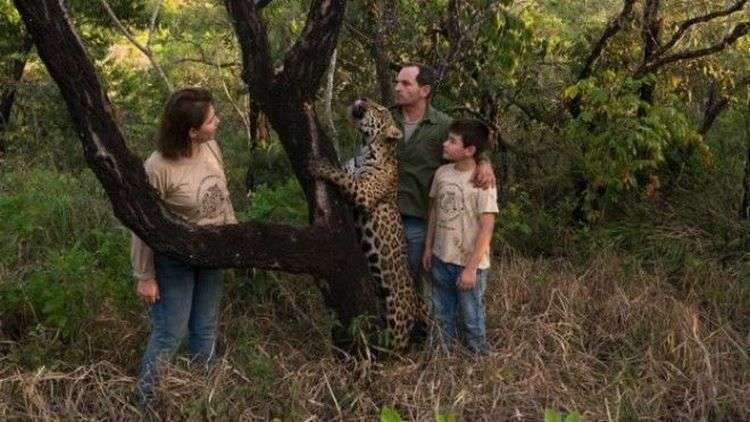Бразильский мальчик Тьяго Силвейра живет с ягуарами! 29