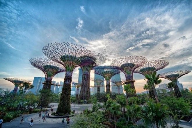 Сады будущего и супердеревья в Сингапуре 41