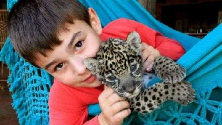 Бразильский мальчик Тьяго Силвейра живет с ягуарами! 30