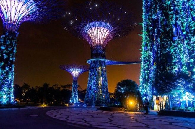 Сады будущего и супердеревья в Сингапуре 43