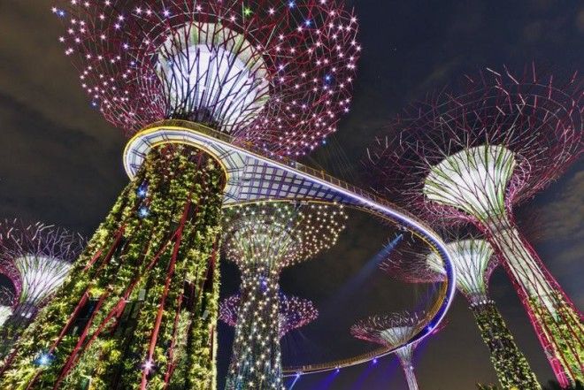 Сады будущего и супердеревья в Сингапуре 40