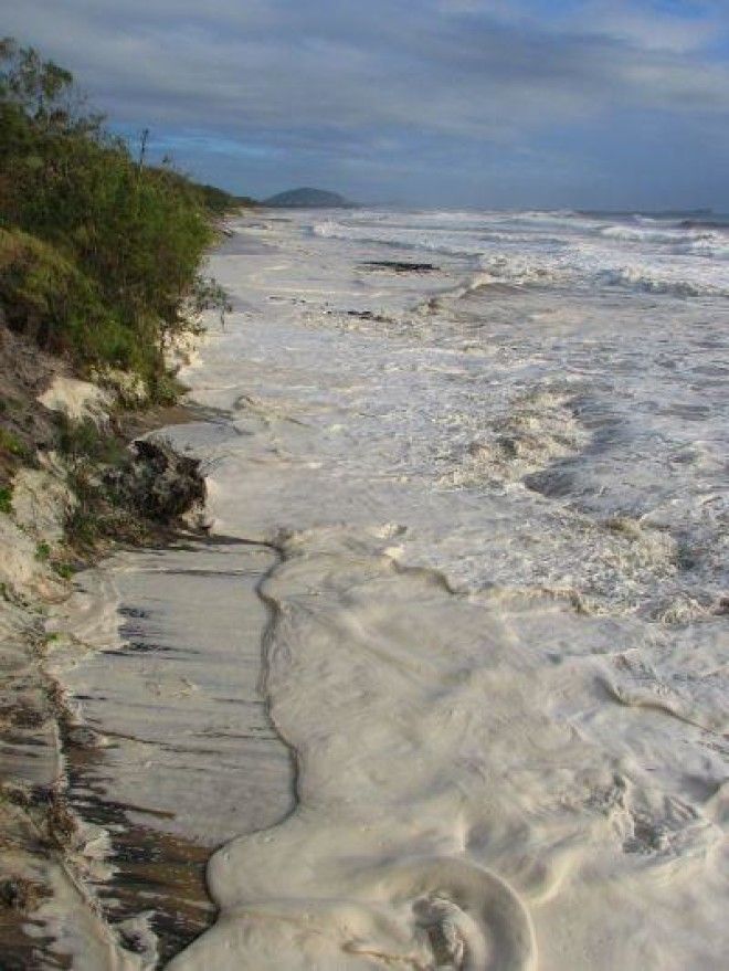 Прибрежный капучино - крайне редкий природный феномен 44