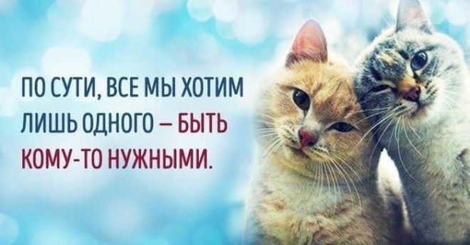 13 оптимистичных открыток 44