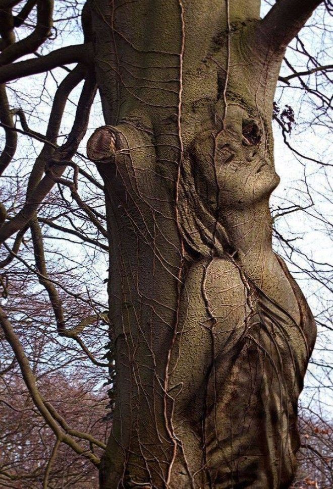 20 лучших скульптур из дерева – невероятное волшебство! 41