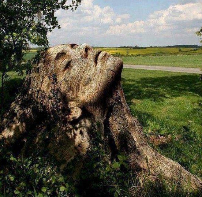 20 лучших скульптур из дерева – невероятное волшебство! 45