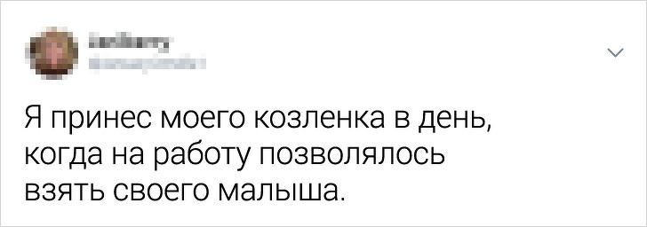 Пользователи Твиттера назвали курьезные причины их уволнения 73