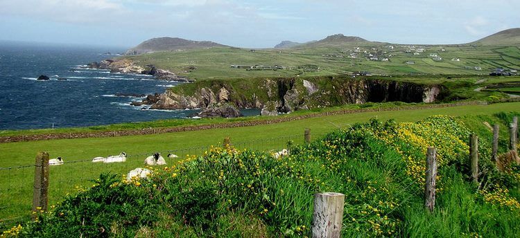 Замки и волшебные долины Ирландии — сказка Изумрудного острова! 76