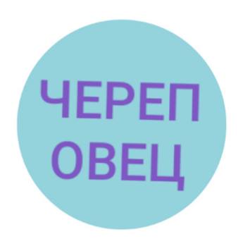 У Санкт-Петербурга появился новый логотип за 7 миллионов рублей, и поток пародий не остановить 65