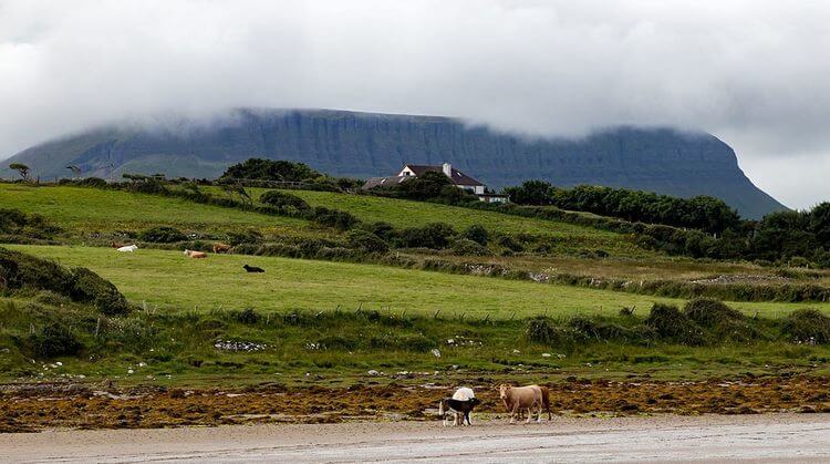 Замки и волшебные долины Ирландии — сказка Изумрудного острова! 82