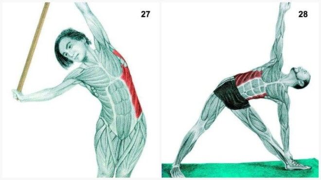 Как правильно растягивать мышцы. 38