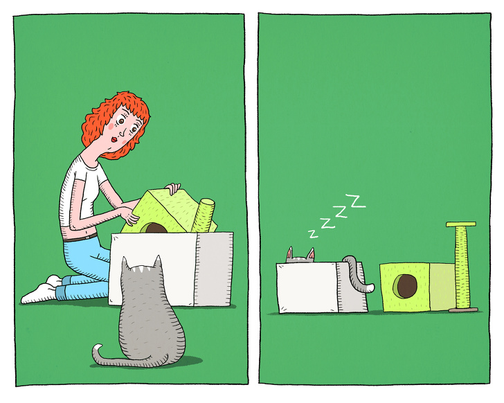 Забавные комиксы о противоречивости котов 44