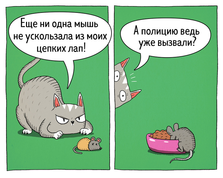 Забавные комиксы о противоречивости котов 45