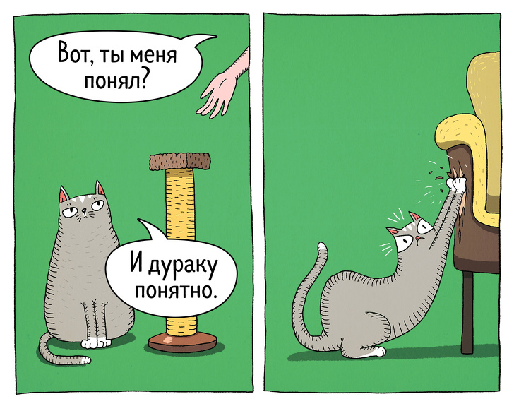 Забавные комиксы о противоречивости котов 46
