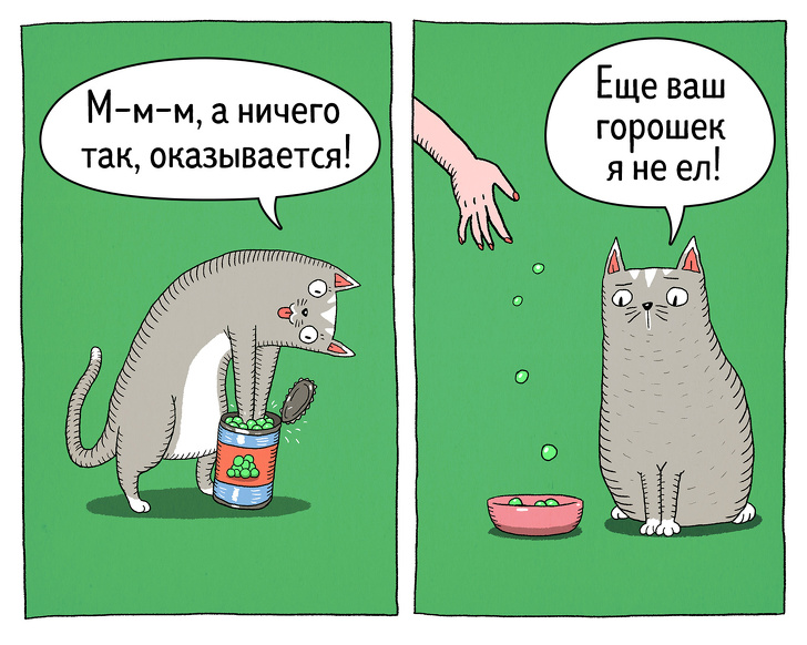 Забавные комиксы о противоречивости котов 47