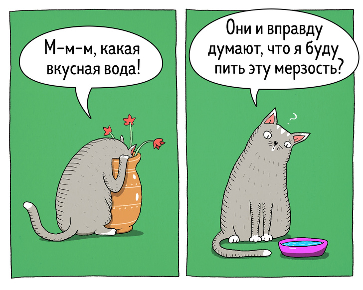 Забавные комиксы о противоречивости котов 49