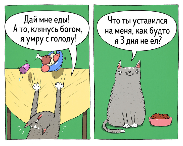 Забавные комиксы о противоречивости котов 52