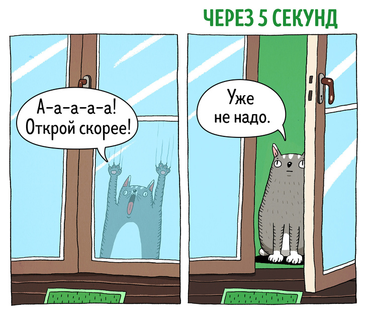 Забавные комиксы о противоречивости котов 56