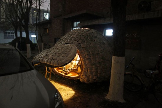 Экономный китаец построил дом-яйцо, чтобы не снимать квартиру 26
