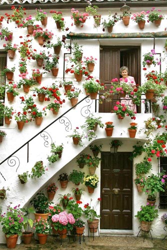 Фото самых красивых «цветочных» домов мира 37