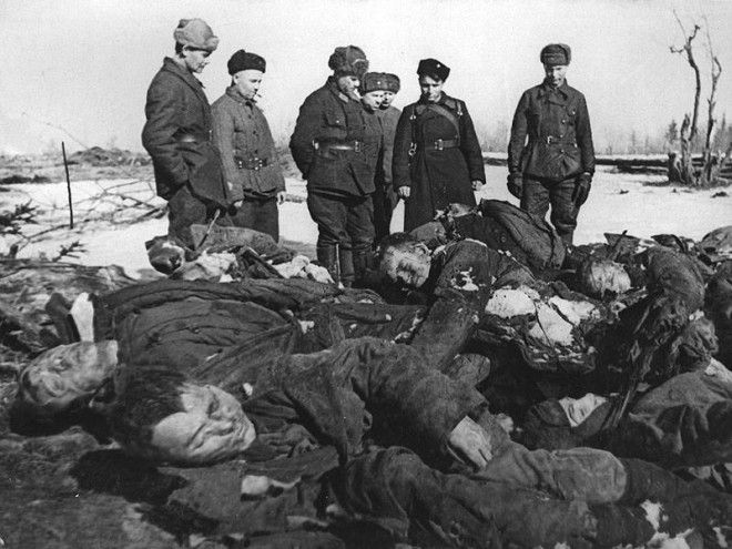 БЕЗ ЦЕНЗУРЫ. Фотографии войны 1941-1945 годов!!! 94