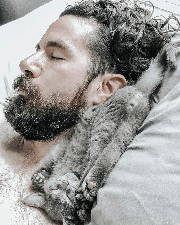 30 умилительных фотографий мужчин и кошек 92