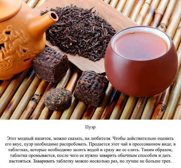 Вкусные рецепты приготовления чая 32