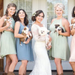 Американская невеста принесла на свою свадьбу щенят вместо цветов